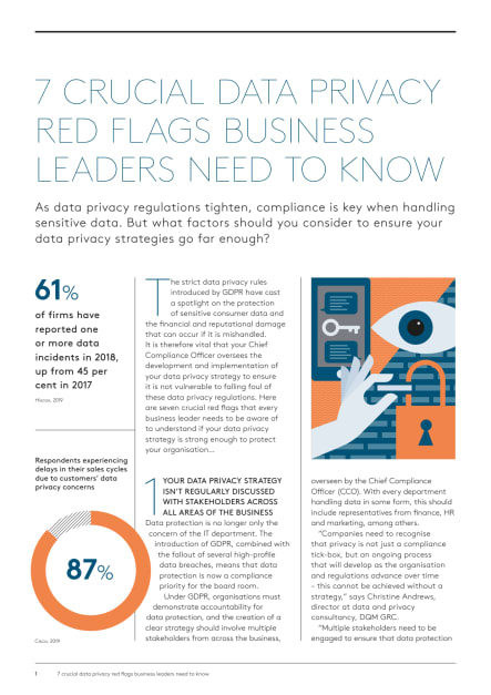 7 Crucial Data Privacy Red Flags Business Leaders Need To Know.pdf
