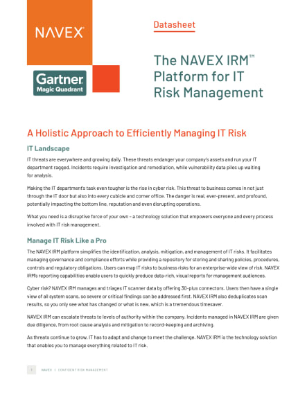 Image for IT Risk Management