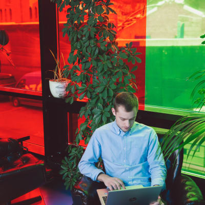 man sitting at office working on laptop near red green window
