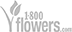 A black square with no visible details or features.