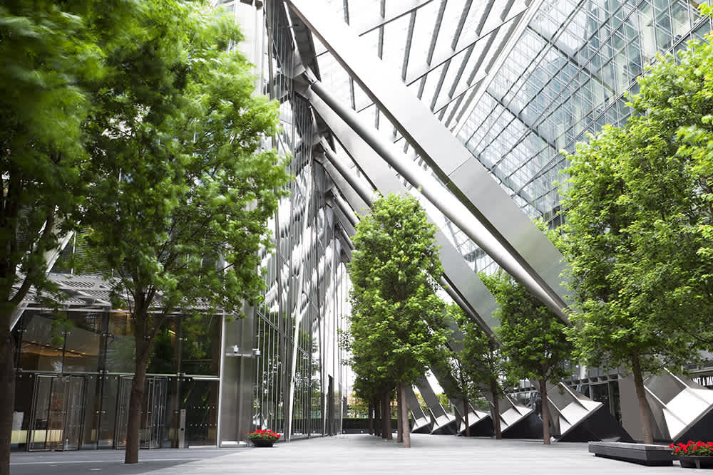 green trees enclosed inside a glass courtyard