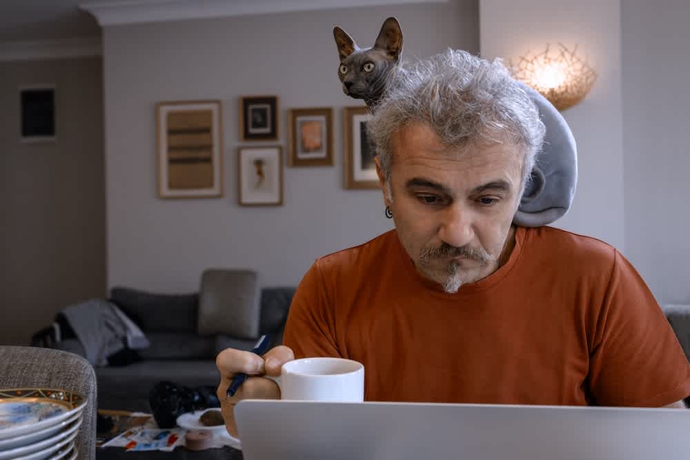 A man with gray hair and a mustache works on a laptop while holding a white mug. A sphynx cat sits on his shoulders, peering over his head. The scene is set in a cozy living room with framed art on the wall.