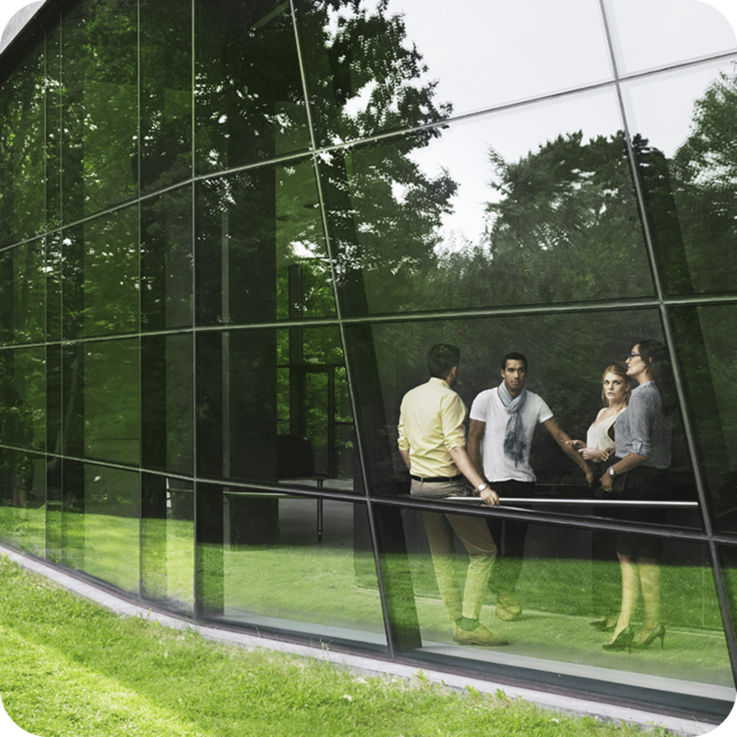 colleagues talking inside glass wall building near green grass landscape