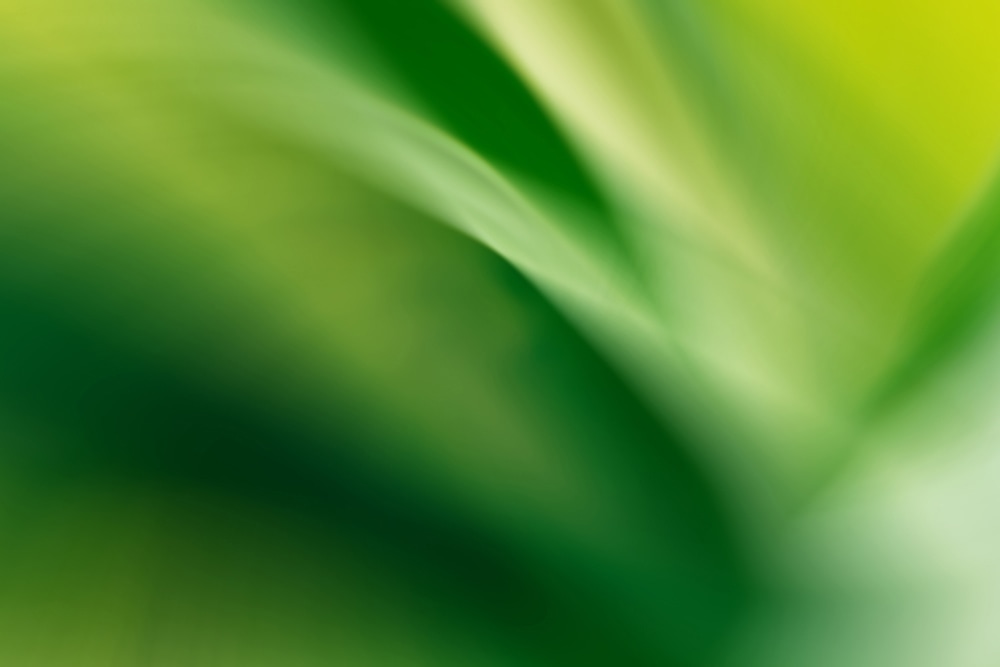 bright green abstract movement wisps