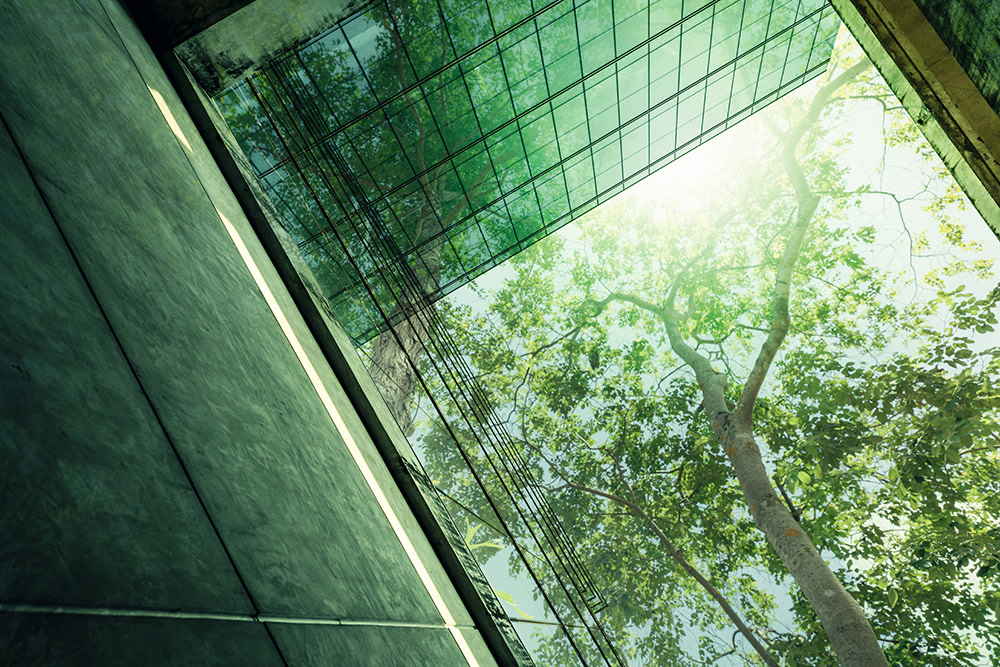 Green abstract modern building with a central tree, symbolizing sustainability.