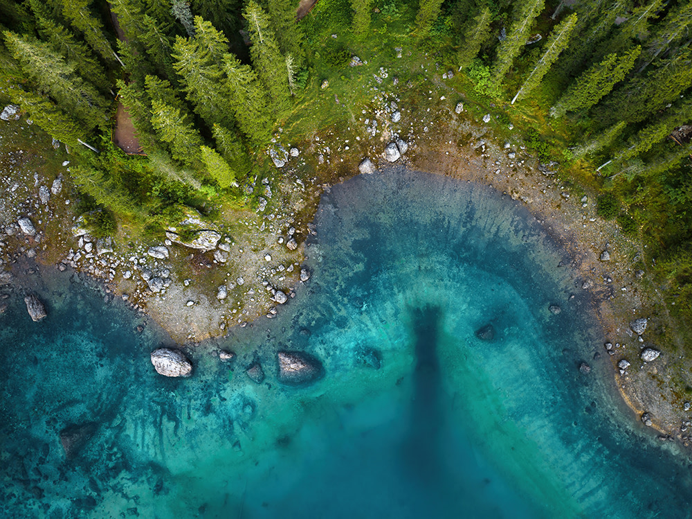 abstract view of water coastline with stones and trees