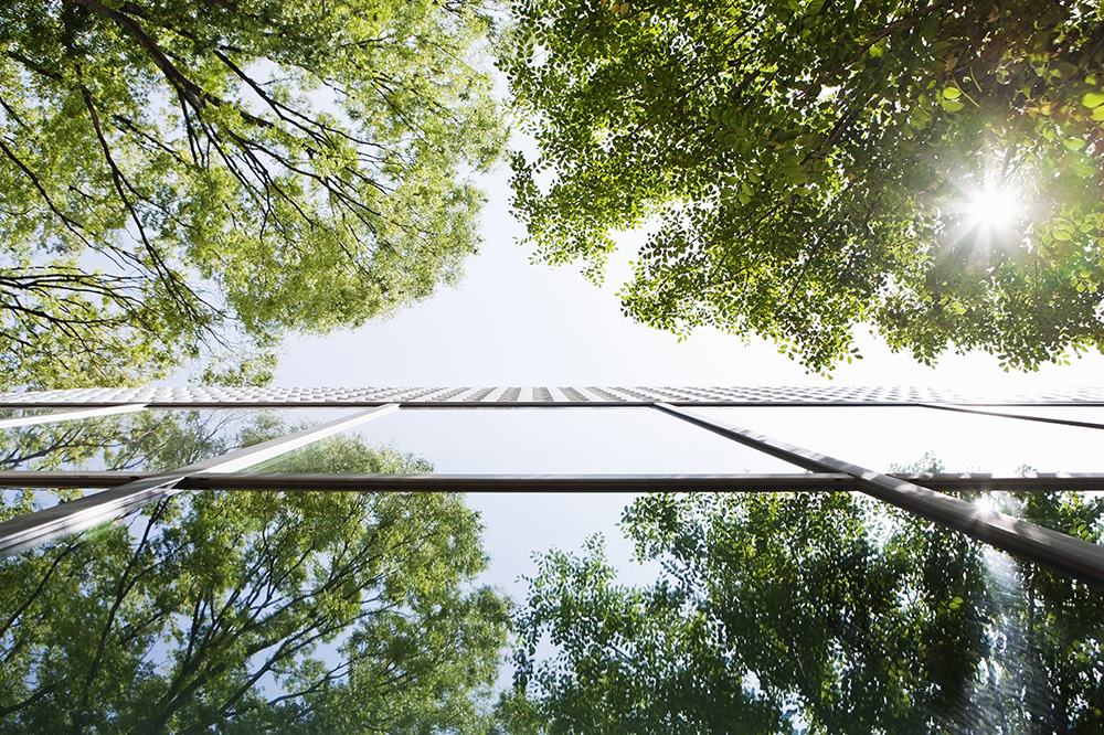 Upwards view of green tree tops and sun shining, reflecting on glass windows of modern building