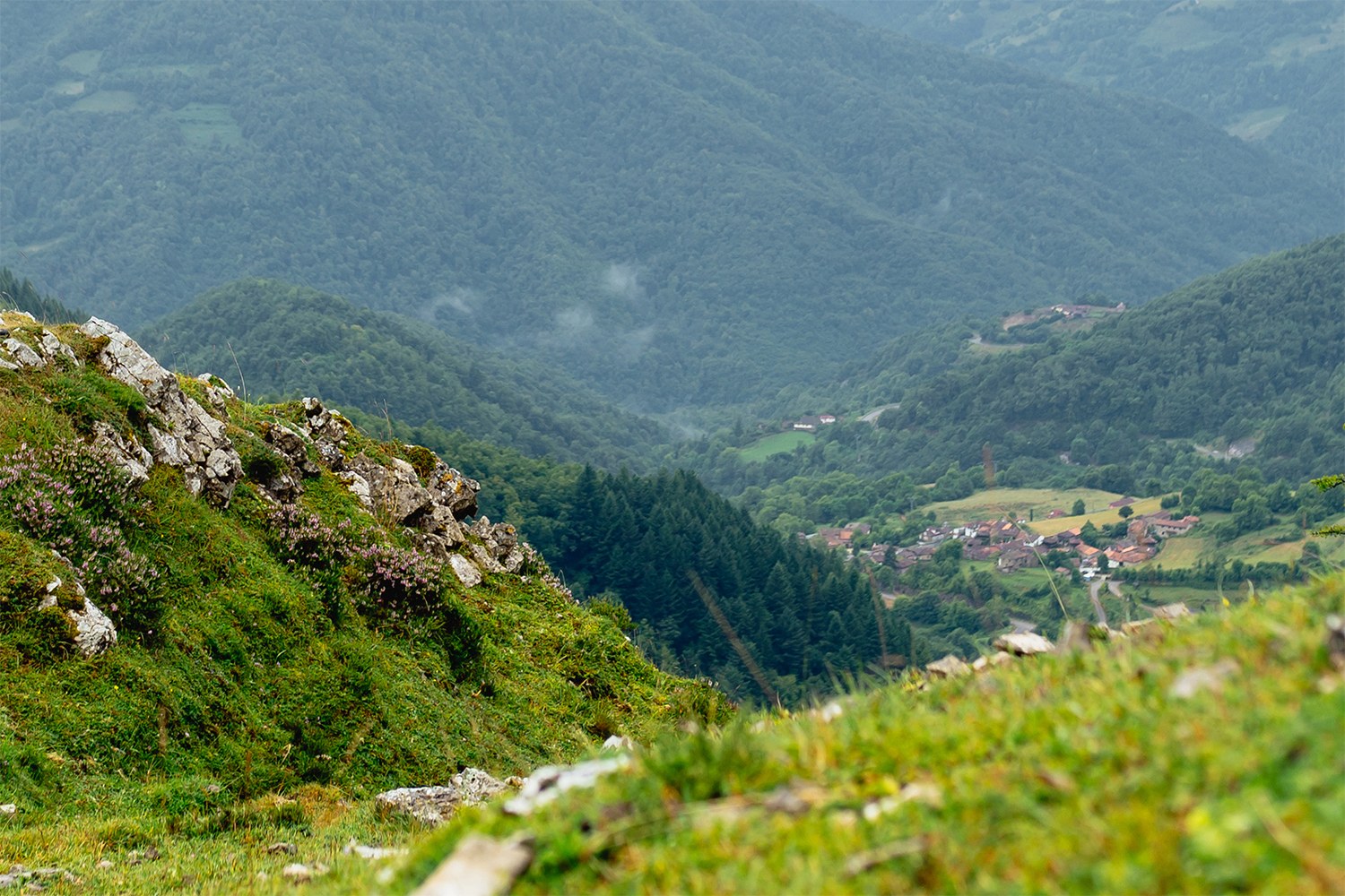 View of a lush, green mountain landscape with a rocky foreground and a small village nestled in the forested valley below, surrounded by rolling hills and dense trees.