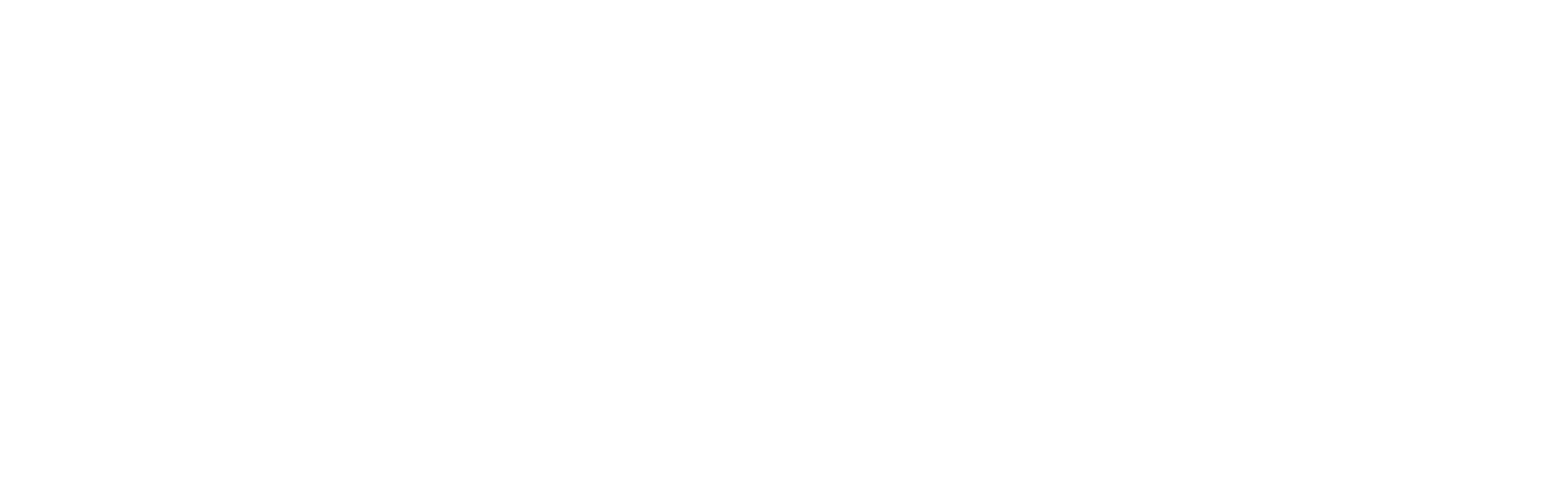 ahold delhaize logo 