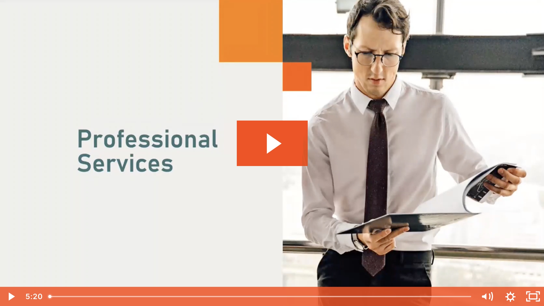 NAVEX Professional Services thumbnail