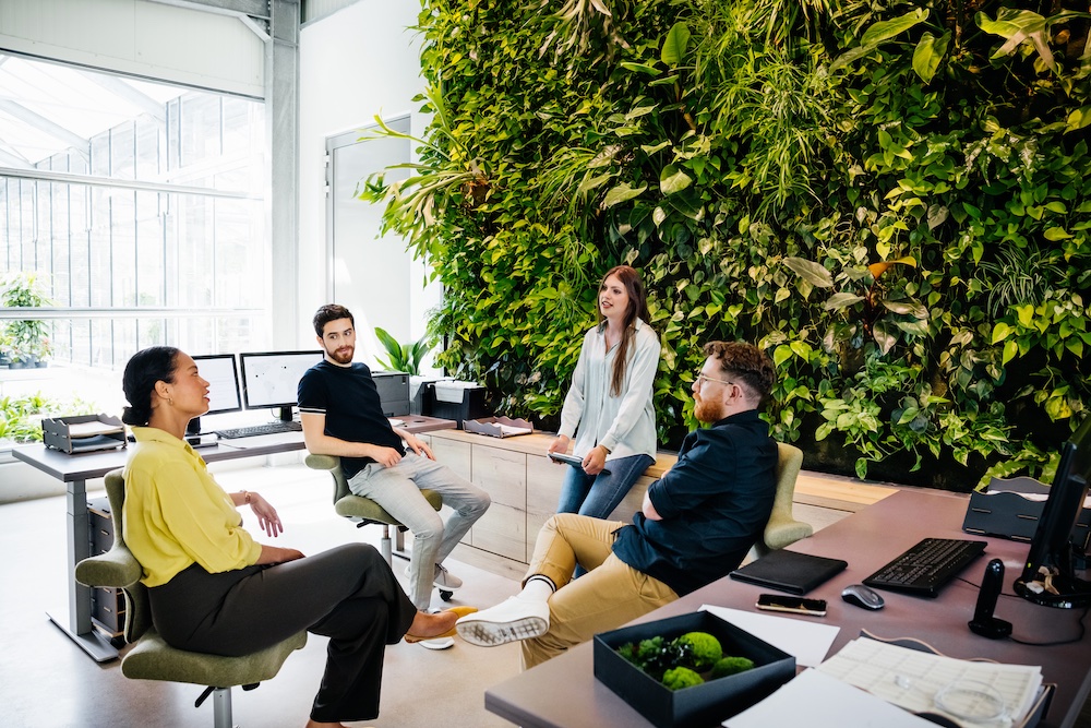 Four people have a casual meeting in a modern office with a large green living plant wall. They are sitting on chairs and chatting, surrounded by desks, computers, and natural light from big windows.