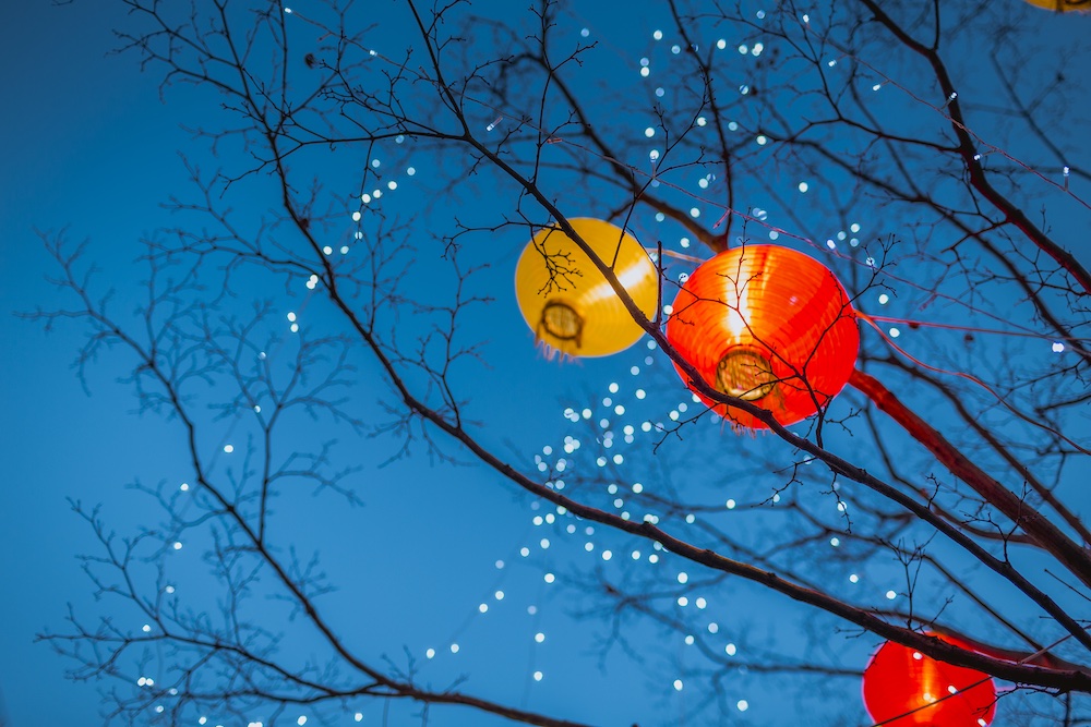 Red and yellow paper lanterns hang from tree branches adorned with small white string lights, set against a clear blue evening sky.