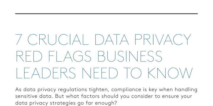 7 Crucial Data Privacy Red Flags Business Leaders Need To Know.pdf